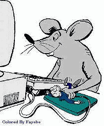 souris